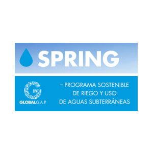 Spring